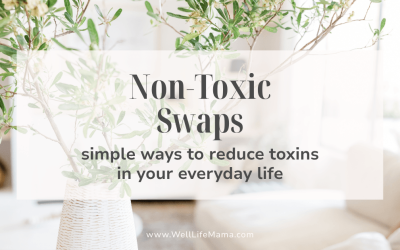 Non-Toxic Swaps: How to Replace Toxic Items and Start Clean Living (Beginner Guide)